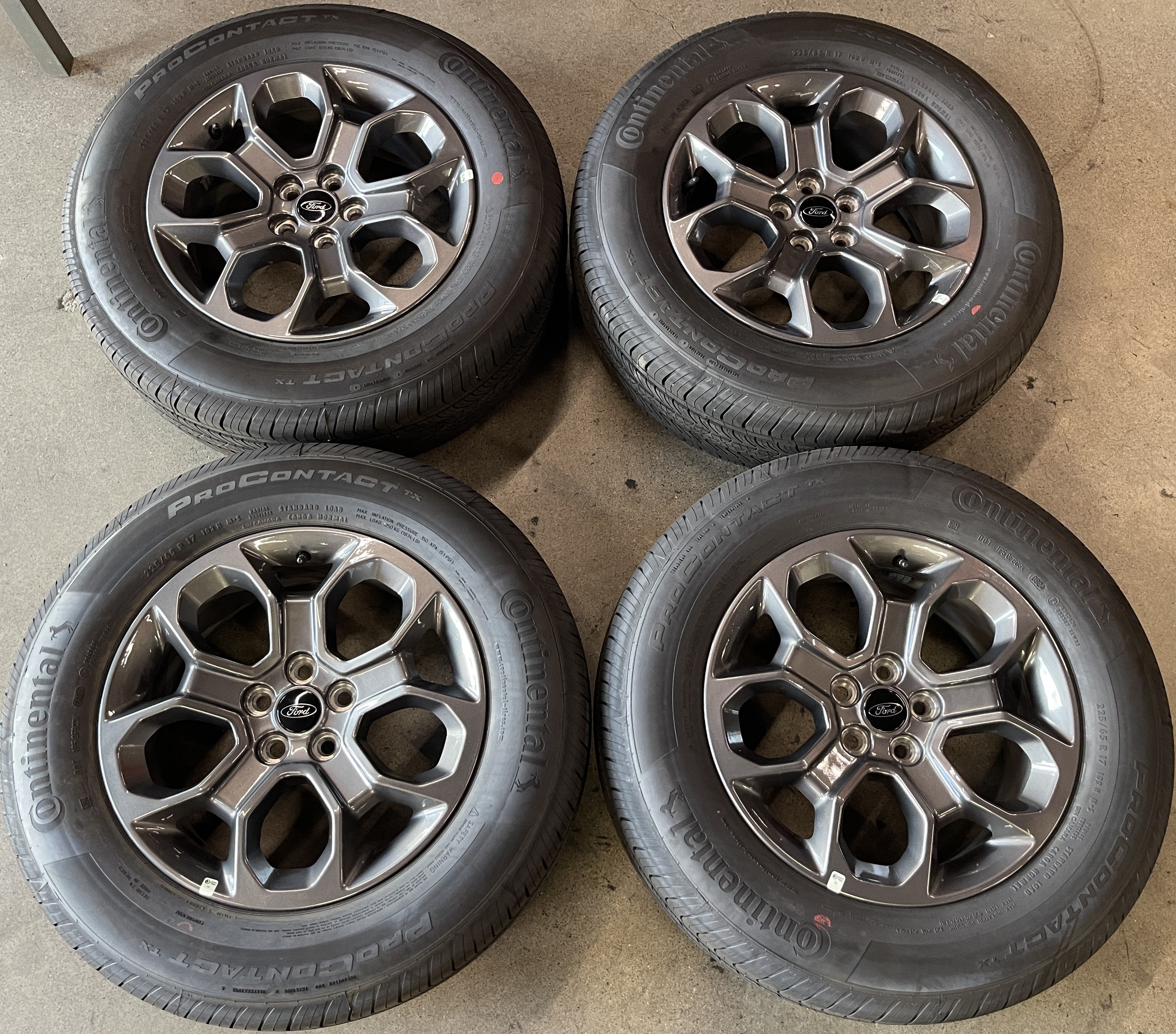 Ford – scwoem