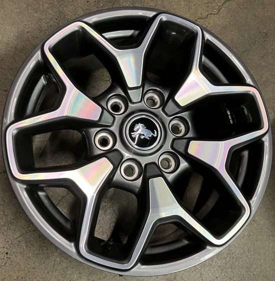 Single (1) 2022-2025 Ford Bronco Badlands 17 Factory Wheel 10387 OEM Rim M2DC1007N1A