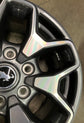 Single (1) 2022-2025 Ford Bronco Badlands 17 Factory Wheel 10387 OEM Rim M2DC1007N1A