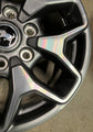 Single (1) 2022-2025 Ford Bronco Badlands 17 Factory Wheel 10387 OEM Rim M2DC1007N1A