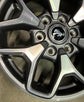 Single (1) 2022-2025 Ford Bronco Badlands 17 Factory Wheel 10387 OEM Rim M2DC1007N1A